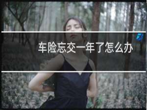 车险忘交一年了怎么办