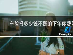车险报多少钱不影响下年度费用