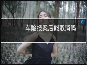 车险报案后能取消吗