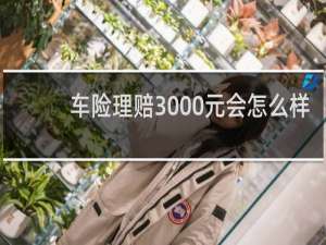 车险理赔3000元会怎么样