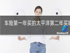 车险第一年买的太平洋第二年买哪个