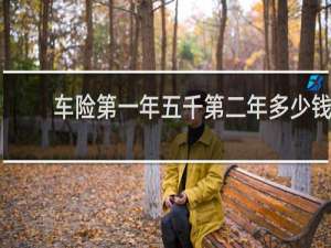 车险第一年五千第二年多少钱