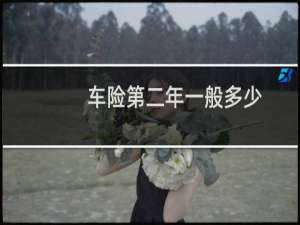 车险第二年一般多少