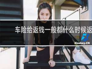 车险给返钱一般都什么时候返