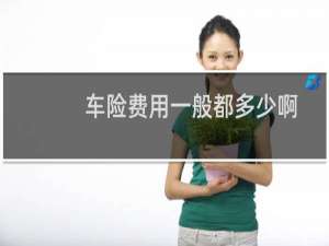 车险费用一般都多少啊