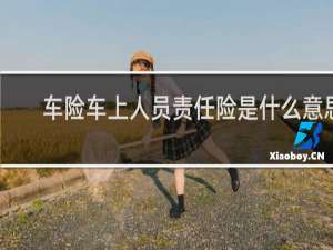 车险车上人员责任险是什么意思