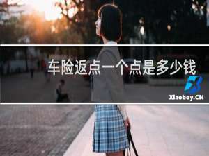 车险返点一个点是多少钱