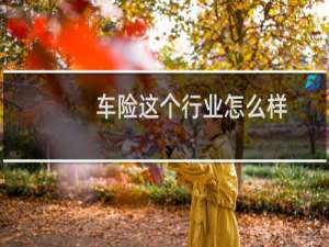 车险这个行业怎么样