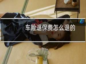 车险退保费怎么退的