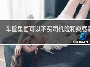 车险里面可以不买司机险和乘客险吗