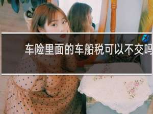 车险里面的车船税可以不交吗