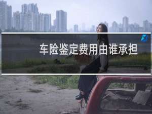 车险鉴定费用由谁承担