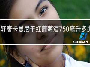 轩唐卡曼尼干红葡萄酒750毫升多少钱一