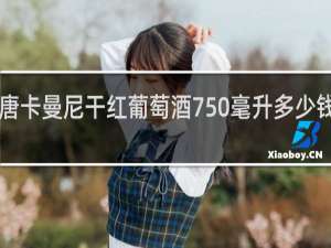 轩唐卡曼尼干红葡萄酒750毫升多少钱2020年