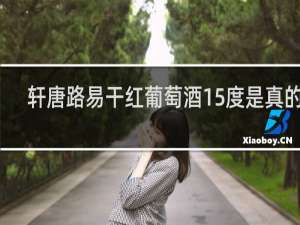 轩唐路易干红葡萄酒15度是真的吗