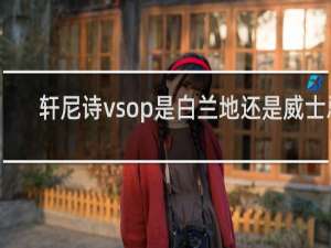 轩尼诗vsop是白兰地还是威士忌