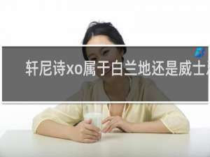 轩尼诗xo属于白兰地还是威士忌