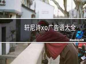 轩尼诗xo广告语大全