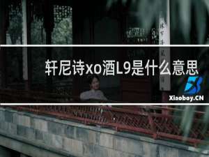 轩尼诗xo酒L9是什么意思