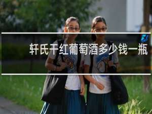 轩氏干红葡萄酒多少钱一瓶