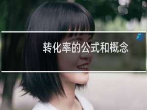 转化率的公式和概念