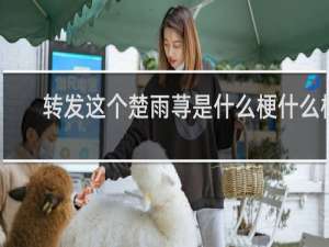 转发这个楚雨荨是什么梗什么梗