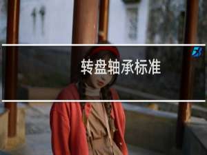 转盘轴承标准