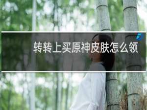 转转上买原神皮肤怎么领