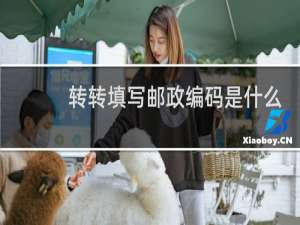 转转填写邮政编码是什么