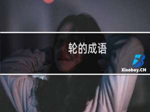 轮的成语