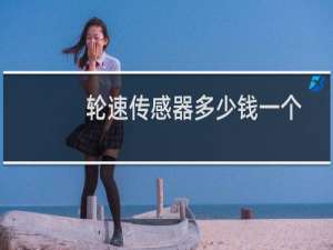 轮速传感器多少钱一个