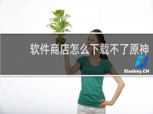 软件商店怎么下载不了原神