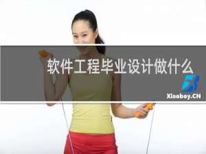软件工程毕业设计做什么
