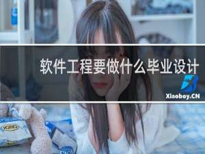 软件工程要做什么毕业设计