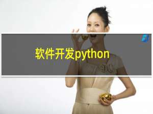 软件开发python