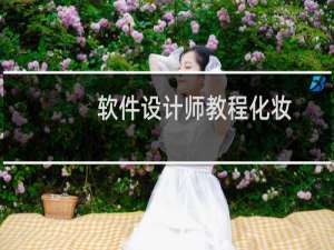 软件设计师教程化妆