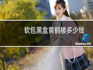 软包黑盒黄鹤楼多少钱