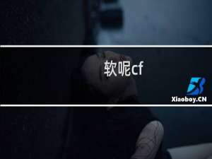 软呢cf