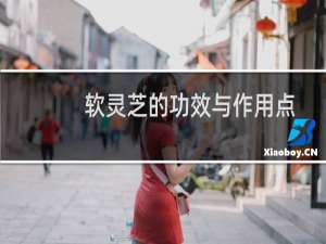 软灵芝的功效与作用点