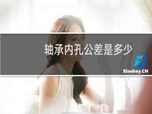 轴承内孔公差是多少