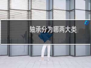 轴承分为哪两大类