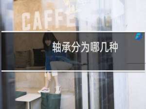 轴承分为哪几种