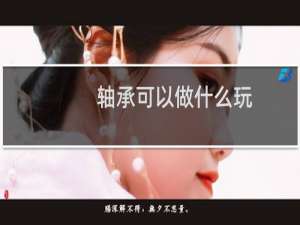 轴承可以做什么玩