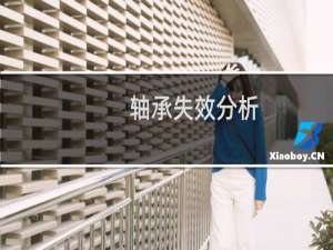 轴承失效分析