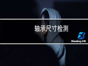 轴承尺寸检测