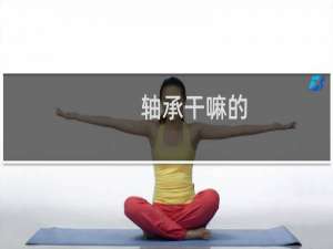 轴承干嘛的