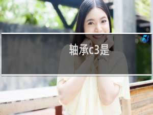 轴承c3是