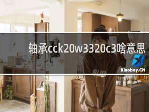 轴承cck w33 c3啥意思