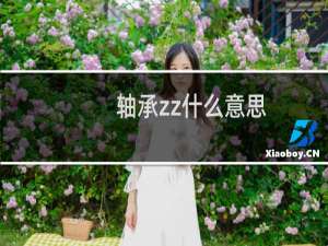 轴承zz什么意思