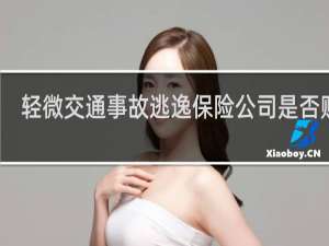 轻微交通事故逃逸保险公司是否赔偿